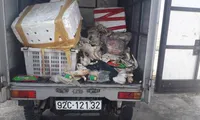 thịt đông lạnh thối rửa hai đối tượng chở ra Cầu Khe đổ trộm