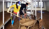 Thầy cô Trà Leng cạo núi bùn, dọn trường sau mưa lũ
