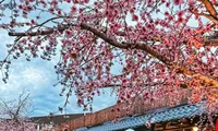 Khu chợ đêm đậm chất Nhật Bản giữa lòng Bangkok: Địa điểm mới cho &quot;tín đồ&quot; du lịch Thái Lan