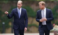 Hoàng tử William thân mật nhắc đến tên Harry, thể hiện rằng anh vẫn trò chuyện với em trai
