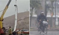 “Con cá thảm họa” xuất hiện đã dự báo đúng về trận siêu bão gần nhất ở Nhật Bản, lý do là gì?