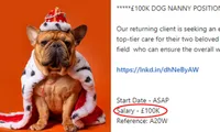 Gia đình tỷ phú tìm người chăm sóc cún cưng với mức lương 3 tỷ đồng/năm