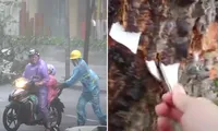Video cho thấy sức gió kinh hoàng của bão Yagi: Mảnh vỡ cắm sâu vào thân cây