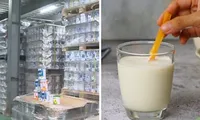 Dùng sữa giả có nguy cơ gì và làm sao để nhận biết sữa giả, kém chất lượng?