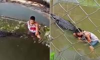 Tưởng con cá sấu là bức tượng, du khách tới ngồi cạnh để chụp ảnh và cái kết