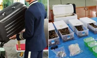 Nhật Bản: Vali của khách ở khách sạn có âm thanh lạ, bên trong rất bất ngờ