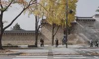 Lịm tim với bộ ảnh Bản tình ca mùa Thu ở Hàn Quốc, xem xong phải thốt lên: &quot;Quá đẹp!&quot;