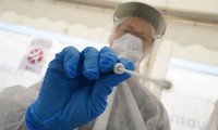Mẫu virus corona