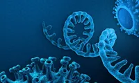 Virus