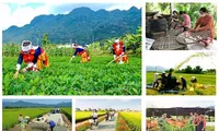 Tháo gỡ vướng mắc triển khai các chương trình mục tiêu quốc gia