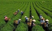 Hỗ trợ đồng bào dân tộc thiểu số và miền núi kinh doanh, khởi nghiệp