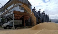 Thỏa thuận nối lại xuất khẩu ngũ cốc Ukraine qua các cảng ở Biển Đen sẽ đươc ký trong ngày 22/7. Ảnh: Reuters