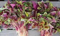 Những loại rau &apos;bổ hơn thịt&apos; bán ngoài chợ giá rẻ bèo, nhiều người không biết mà ăn