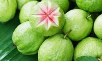 Ăn ổi rất tốt nhưng những người này không nên ăn kẻo nguy hiểm tính mạng