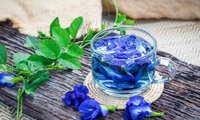 Hoa đậu biếc cực tốt cho sức khoẻ nhưng sẽ thành &apos;độc dược&apos; nếu uống theo cách này