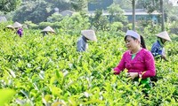Hà Nội chi 1.100 tỷ đầu tư cơ sở hạ tầng cho vùng đồng bào dân tộc miền núi