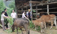 Mù Cang Chải bố trí trên 1 tỷ đồng giảm nghèo về thông tin