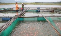Thực hiện hiệu quả phong trào thi đua &apos;Vì người nghèo - Không để ai bị bỏ lại phía sau&apos;
