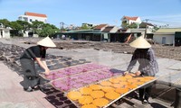 Hỗ trợ liên kết sản xuất ở vùng đồng bào dân tộc thiểu số, miền núi Nghệ An