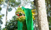 Cư dân mạng xôn xao về cặp rồng trước cổng công viên ở TPHCM