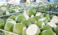 Dừa tươi Việt Nam lần đầu vượt tỷ USD, tiết lộ thị trường tiêu thụ mạnh nhất