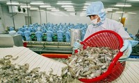 Mỹ hoãn áp thuế 90 ngày: Doanh nghiệp thủy sản đề xuất ‘nóng’