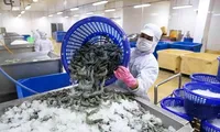 'Bơm' 100.000 tỷ đồng cho doanh nghiệp nông, lâm, thủy sản 