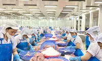Nước nào tiêu thụ cá tra Việt Nam lớn nhất thế giới? 