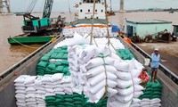 Nhật Bản khủng hoảng giá gạo, Việt Nam đón cơ hội vàng?