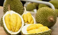 Xuất khẩu sầu riêng lao dốc, nhập từ Thái Lan và Malaysia tăng đột biến