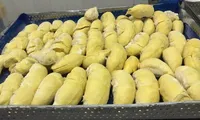 Sau 2 ngày thương thảo, sầu riêng đông lạnh Việt Nam thẳng tiến Trung Quốc