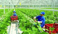 Thứ trưởng Nông nghiệp: Giảm phát thải mới dừng lại ở dự án nhỏ lẻ
