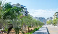 Hạ Long đầu tư trên 20 tỷ cải tạo mương nước thành công viên, bãi đỗ xe