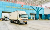 Việt Nam - Trung Quốc thông quan hơn 750 tấn hàng qua cửa khẩu Móng Cái 