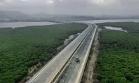 Độc đáo cây cầu uốn lượn giữa rừng ngập mặn ở Hạ Long