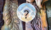 &quot;Lộ hint&quot; vòng nguyệt quế Đường Lên Đỉnh Olympia 2022: Netizen nhanh chóng tìm ra chi tiết đặc biệt