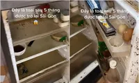 Trở lại thành phố sau 5 tháng, cô gái bất lực vì tủ lạnh bị ngắt điện, mém xỉu khi mở tủ