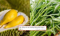 Gen Z vừa học tiếng Anh vừa tấu hài: Nghe dịch &quot;sầu riêng&quot;, &quot;rau muống&quot; mà &quot;tức lồng ngực&quot;