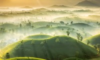 Chiêm ngưỡng bức ảnh đồi chè Việt Nam lọt top ảnh thời tiết đẹp của năm