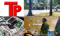 Bản tin Hình sự: Hãm hiếp không thành, gã trai sát hại cô gái rồi phân xác phi tang