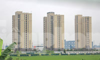 Bắc Giang thu hồi gần 1 triệu m2 đất lúa để thực hiện nhiều dự án nhà ở