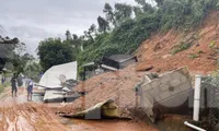 Kiểm tra công trình nguy cơ sạt lở, bến phà, cầu yếu