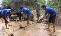 Sinh viên Nghệ An tình nguyện hỗ trợ nhân dân Hà Tĩnh khắc phục hậu quả lũ lụt