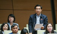 Đề xuất giá khởi điểm 200 triệu đồng với nhóm biển số đẹp bắt buộc đấu giá
