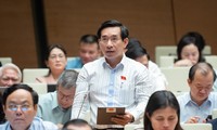 Đại biểu Quốc hội đề xuất phân nhóm &apos;số đẹp&apos; điện thoại để đấu giá 