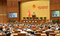 Chính phủ trình Quốc hội dự án Bộ luật Hình sự (sửa đổi)
