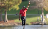 Tiger Woods tái xuất sau 8 tháng dưỡng thương