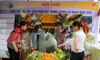 Hội chợ cam, bưởi huyện Lục Ngạn, Bắc Giang