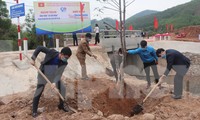 Tỉnh Đoàn Bắc Giang trồng cây xanh khởi động Thánh Thanh niên