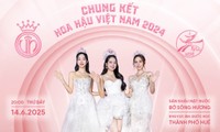 Hướng dẫn cách đặt mua vé xem đêm Chung kết toàn quốc Hoa hậu Việt Nam 2024